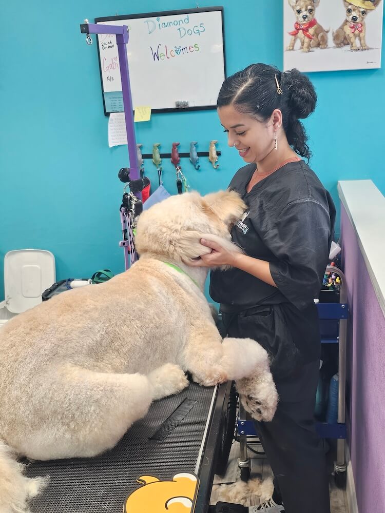 groomer holding dog's head affectionately