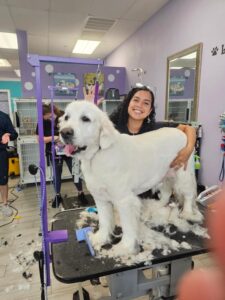 20250725_114414 groomer smiling with large white dog