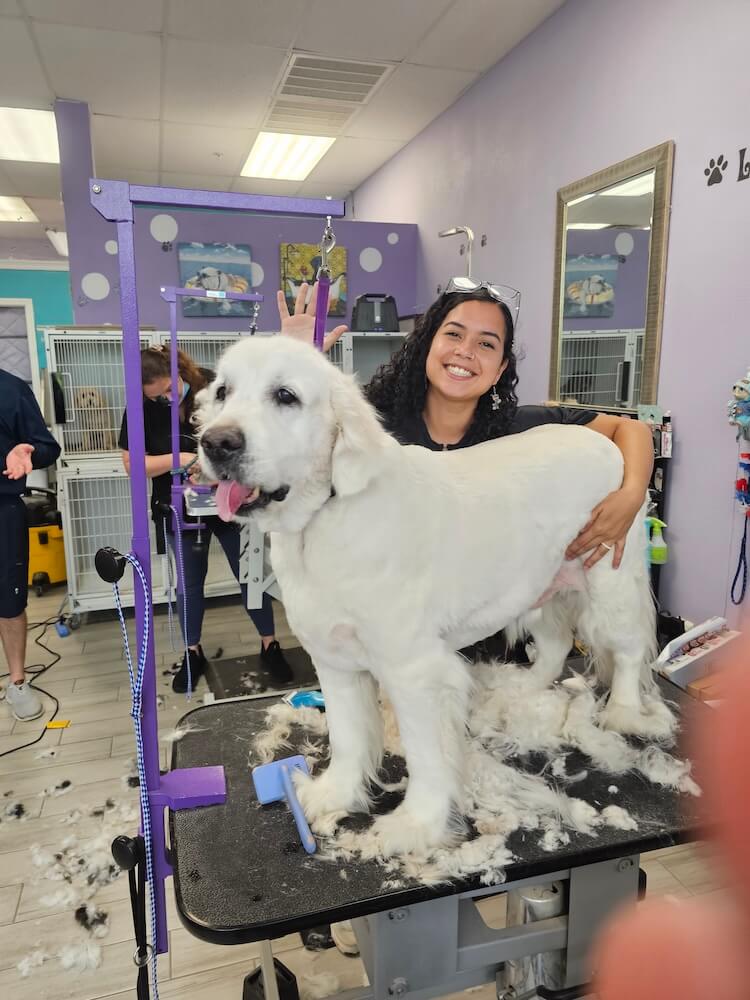 groomer smiling with large white dog