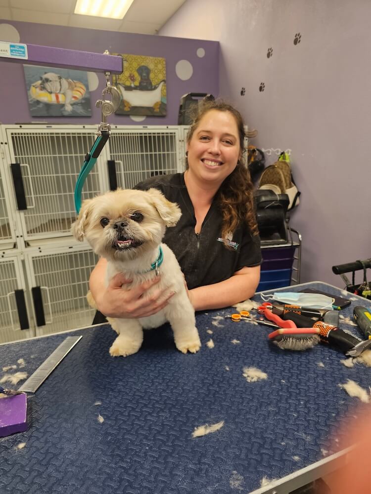 groomer smiling with fluffy groomed dog