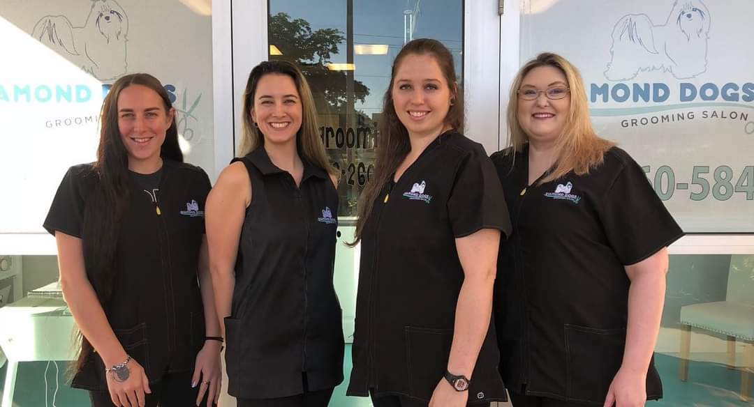 group of smiling groomers