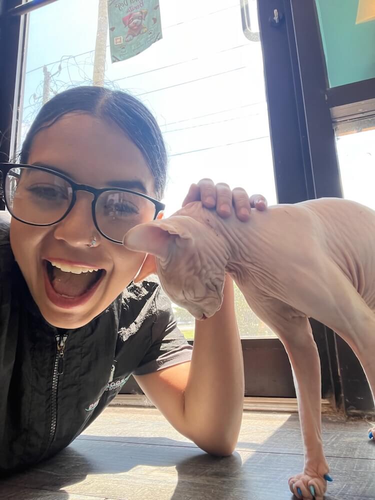 happy groomer with an affectionate cat