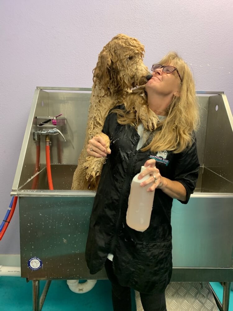 groomer holding a dog after a bath