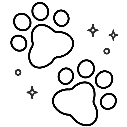 placeholder image box